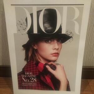 Ｄior Magazine Ｎo28