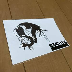 ★新品 BLEACH EX. 原画展限定／オリジナルブロマイド 【四楓院夜一】描き下ろし 久保帯人 ブリーチ