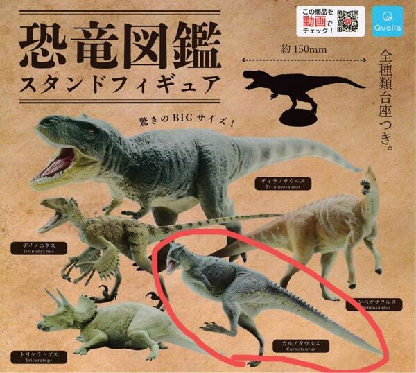 ＊カプセルなし＊ 恐竜図鑑 スタンドフィギュア カルノタウルス ガチャ 恐竜フィギュア