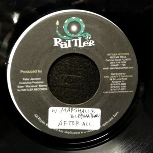 EPレコード　WAYNE MARSHALL & ELEPHANT MAN / AFTER ALL (X5)