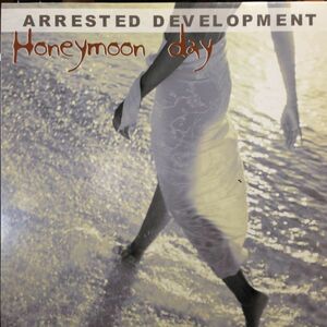 12inchレコード ARRESTED DEVELOPMENT / HONEYMOON DAY