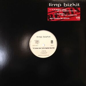 12inchレコード　LIMP BIZKIT / N 2 GETHER NOW (ALL TOGETHER NOW MIX)(PROMO)