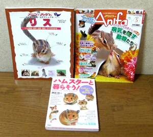 [ hamster ... seems to be!][ Studio Mucc preservation version anifa books squirrel ][Anifa 2007 5 month ] inspection / small animals breeding 