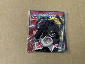 非売品 PS2用ソフト NARUTO ナルティメットヒーロー2 予約特典3セット イタチ首飾り 暁巾着 スペシャルカードダス 強者、集う ナルトBORUTO