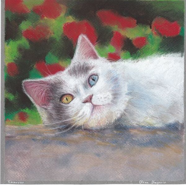 ☆Original illustration Comfortable cat with its adorable, relaxed expression and odd eyes, Artwork, Painting, Pastel drawing, Crayon drawing