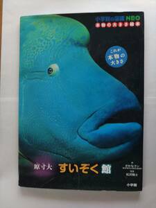  原寸大　すいぞく館 小学館の図鑑ＮＥＯ　さかなクン【作】/松沢 陽士【写真】