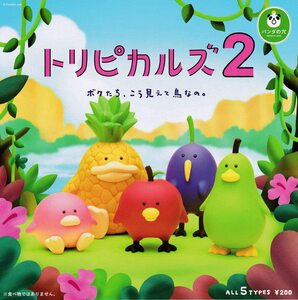 パンダの穴 トリピカルズ 2 全5種セット