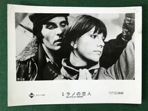 ミラノの恋人、3枚、スチール写真、ステファニア・サンドレッリ、ジュリアーノ・ジェンマ、DELITTO D'AMORE SOMEWHERE BEYOND LOVE、1974年_画像1