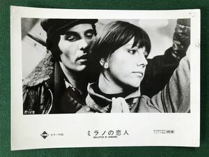 ミラノの恋人、3枚、スチール写真、ステファニア・サンドレッリ、ジュリアーノ・ジェンマ、DELITTO D'AMORE SOMEWHERE BEYOND LOVE、1974年