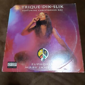 TRIQUE DIK SILK / EUPHORIA (MARY JANE TOO) /G-RAP,ウエッサイ,G-FUNK/DIANA ROSS & MARVIN GAYE ネタ/DJ TAMA