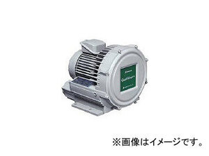 昭和 電動送風機 渦流式高圧シリーズ ガストブロアシリーズ（0.3kW） U2V-30T(2387395)