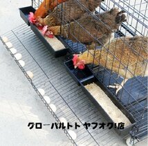 新入荷☆特大 折りたたみ鶏小屋 自動エッグロールケージ、フードボウル、トレー、水槽付き チキンケージ飼育ケージ 120*50*65cm 鶏小屋 D81_画像4