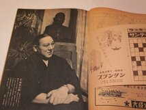 サンデー毎日 1958 昭和33/ 永田町周辺 正田英三郎 北陸トンネル動脈を掘る 長谷川町子 芸能 スポーツ レトロ広告 他_画像5