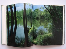 洋書◆水辺の動物と植物写真集 本 川 湖 風景 景色_画像4