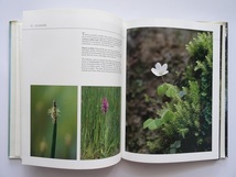 洋書◆水辺の動物と植物写真集 本 川 湖 風景 景色_画像5