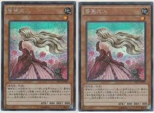 遊戯王　シークレットレア　PP17-JP003　PP17-JP004　薔薇恋人＆薔薇の聖騎士　各２枚　計４枚セット　