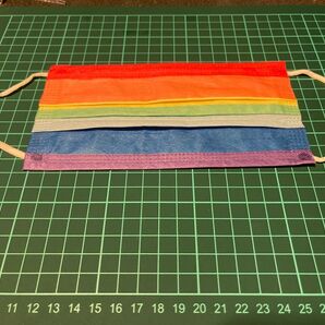レインボーリップガード 5枚セット