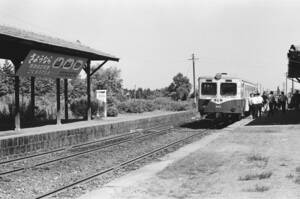 飾って楽しむ鉄道写真（耶馬溪線最後の日） NO.344340004