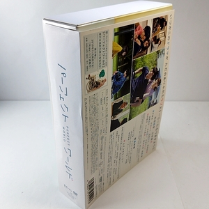 パーフェクトワールド DVD-BOX