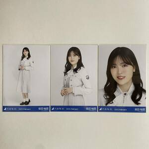 乃木坂46 柴田柚菜 31st制服 生写真 コンプ 検) web 限定 月間 2023.February