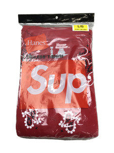 Supreme◆22AW/Hanes Bandana Tagless Tee/Tシャツ/L/コットン/RED