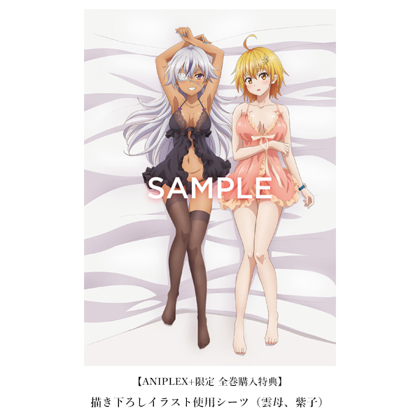 ド級編隊エグゼロス 星乃空母 叢雨紫子 描き下ろしイラスト シーツ Blu-ray DVD ANIPLEX+ 全巻購入特典