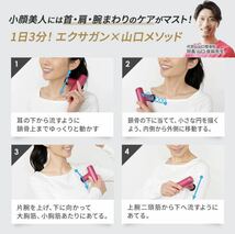 ☆送料無料 新品 未開封 DOCTOR AIR ドクターエア エクサガン ハイパー REG-04 パールホワイト 筋膜リリース マッサージ器 マイトレックス_画像7