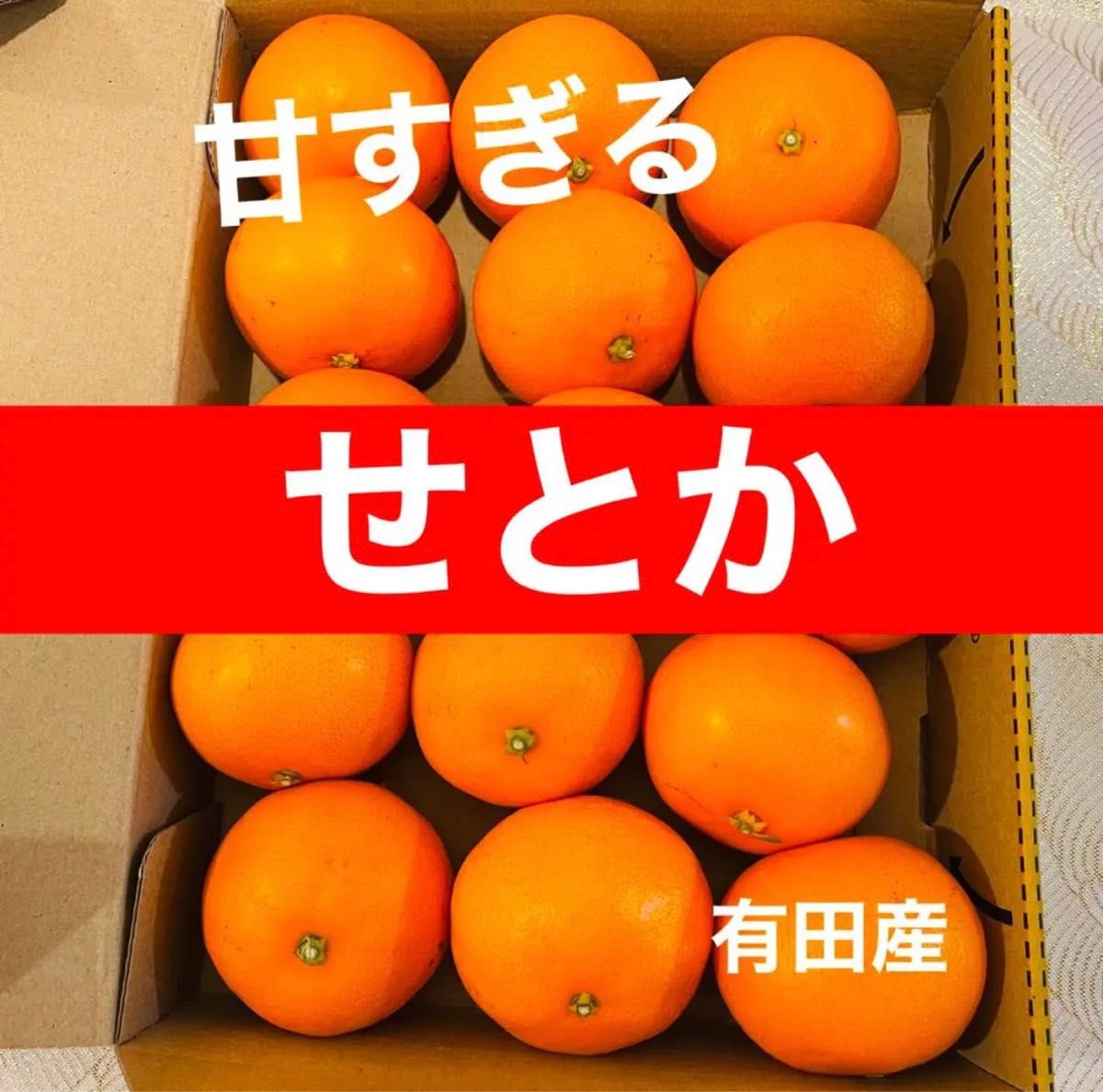 に値下げ! 067 正直高い!だけど美味い!! 小粒の甘〜いみかん(^O