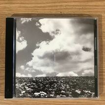 E352 帯付 中古CD100円 バンプオブチキン　花の名_画像1