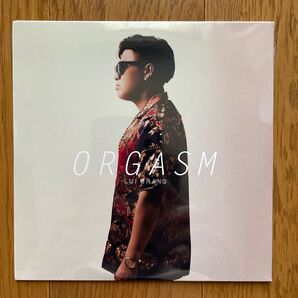 新品未開封 LUI BRANDの1stミニアルバム『ORGASM』