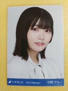 乃木坂46 中西アルノ 生写真 2023.February 31st制服 ヨリ