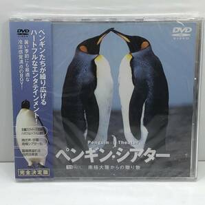 未開封DVD　ペンギン・シアター　南極大陸からの贈り物　(管-A-134)