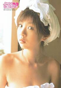 週刊ヤングジャンプ2006年　第22・23合併特大号　特別付録　YJアイドル写真集　Best of The Pretty Collection　ほしのあき