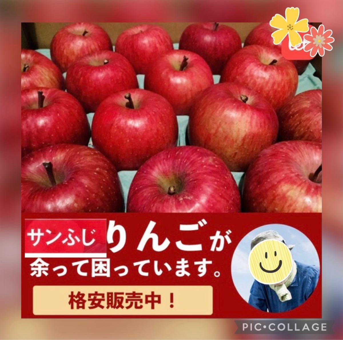りんご(食品)の新品・未使用品・中古品｜PayPayフリマ