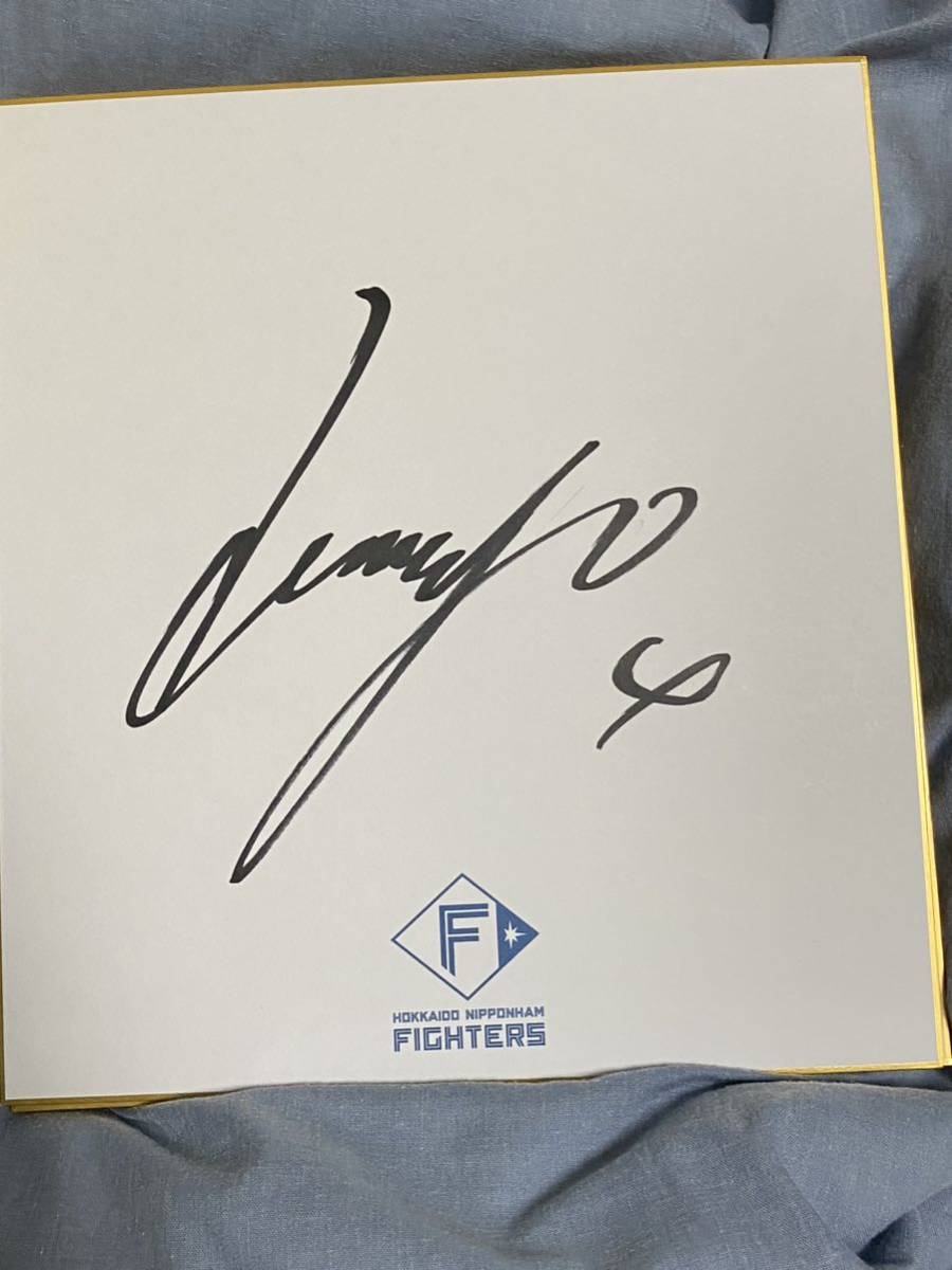 Logotipo autografiado de Hokkaido Nippon-Ham Fighters Daigo Kamikawabata en papel de colores, béisbol, Recuerdo, Mercancía relacionada, firmar