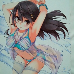 艦これ KANTAI COLLECTION ILLUSTRATUONS FUN BOOK Blackbirdの画像1