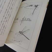 本 『トンボの不思議』 ■送120円 新井裕 どうぶつ社 トンボの不思議な生態 30種類の見分け方　昆虫学○_画像3