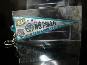 選抜高校野球大会 第95回 令和5年 報徳学園高校 決勝 ペナント記念キーホルダー 未開封品