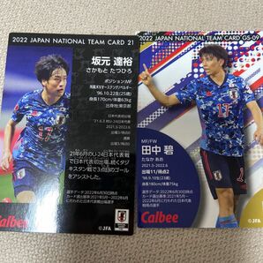 カルビー サッカー日本代表 チップス Jリーグチップス