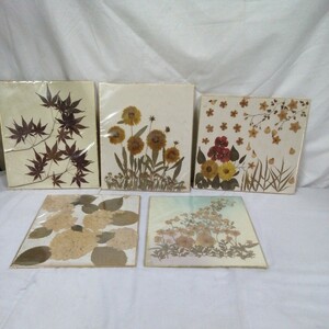  total 5 work pressed flower dry flower fine art art square fancy cardboard art pushed .. postage 520 jpy other 
