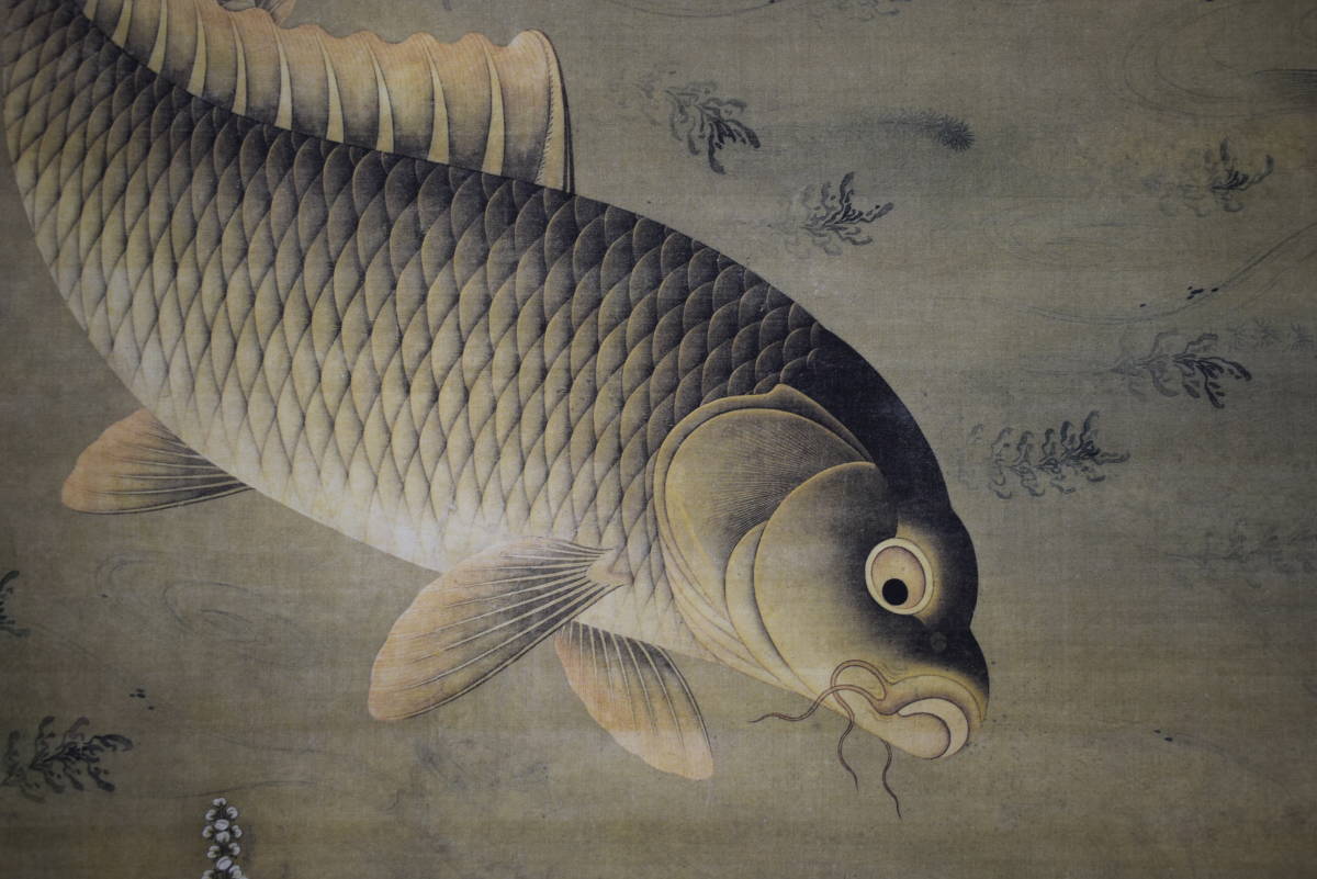 [Reproduction] //Kyousuke/Fish and seaweed/Koi/River fish/Carp painting/Crafts/Hoteiya hanging scroll HJ-995, Painting, Japanese painting, Flowers and Birds, Wildlife