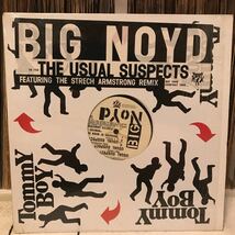 BIG NOYD / The Usual Suspects アナログ レコード 12インチ ヒップホップ_画像1