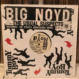 BIG NOYD / The Usual Suspects アナログ レコード 12インチ ヒップホップ