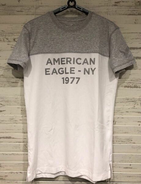 American Eagle アメリカンイーグル　AEロゴ&AEグラフィック入り Tシャツ