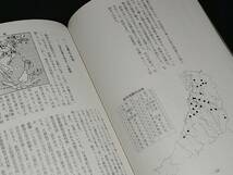 【日本古代史/地方史】辻川季三郎「古代の和泉国 -その謎を探る-」昭和63年 私家本　/希少書籍/絶版/貴重資料_画像8