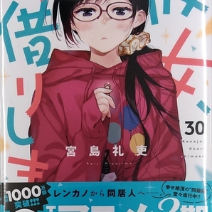 彼女、お借りします(30) (講談社コミックス)