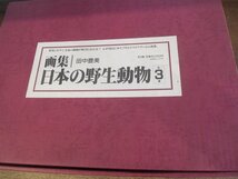 2304MK●「画集 日本の野生動物 全3巻」田中豊美/新日本出版社/1990.3●本文絵(抜刷)5枚つき_画像1