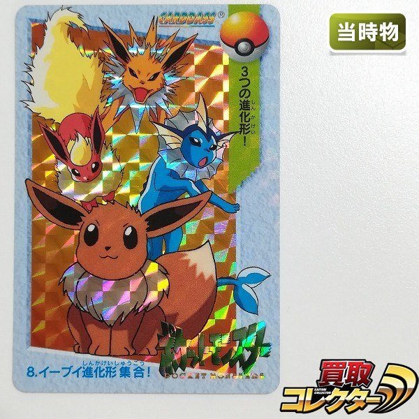 Eievui Collection サプライセット 最終値下げ!! ポケモンカード Eievui Collection サプライセット 最終値下げ!! ポケモンカード