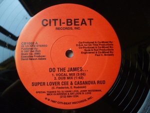 Super Lover Cee & Casanova Rud / Do The James... 最高名曲 HIPHOP CLASSIC 12 試聴