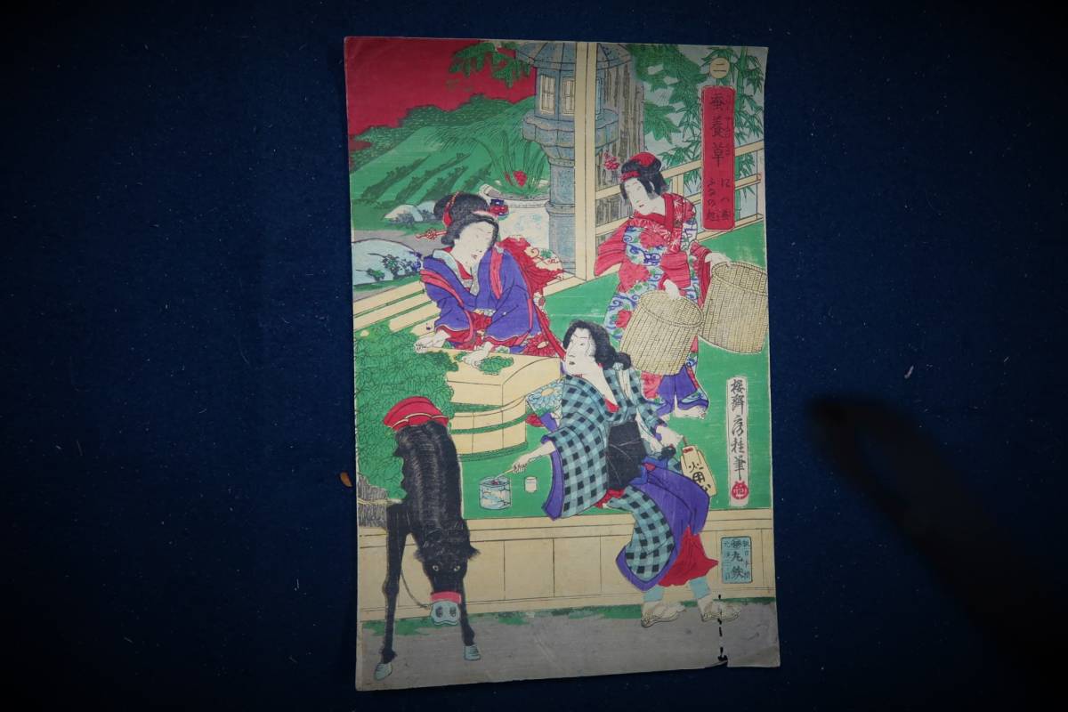 Ukiyo-e Planta de gusano de seda Kaiko Sakurasaibō Tanehitsu Editor Nihonbashi Marutetsu Marui Oban, cuadro, Ukiyo-e, imprimir, otros